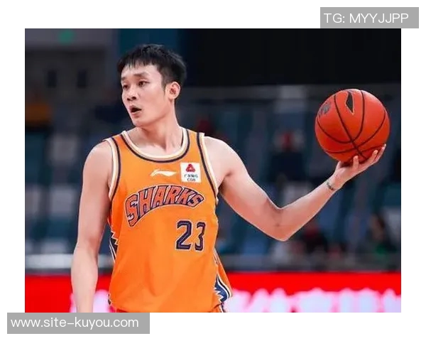 丁彦雨航谈杨瀚森成长之路强调状态与信心恢复需循序渐进